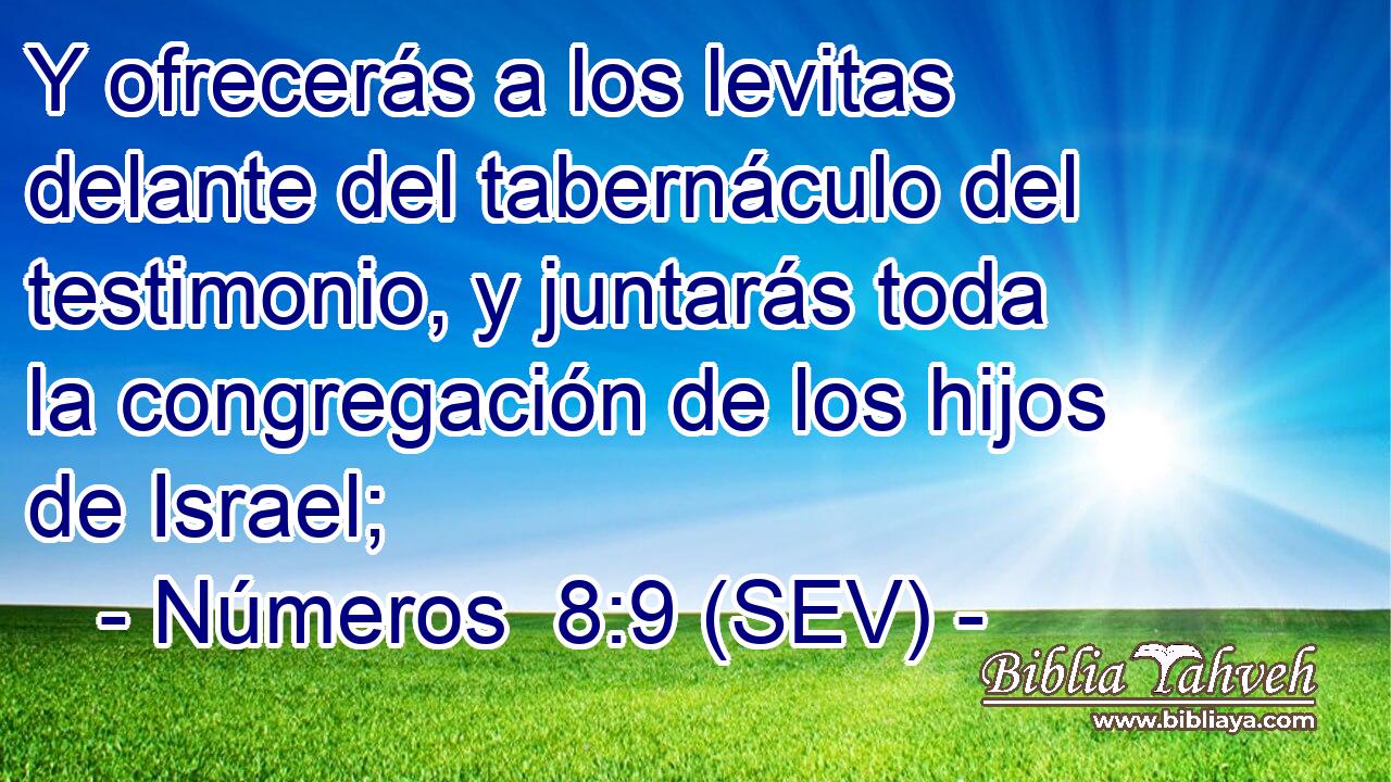 Y ofrecerás a los levitas delante del tabernáculo del testimonio, y juntarás toda la congregación de los hijos de Israel;