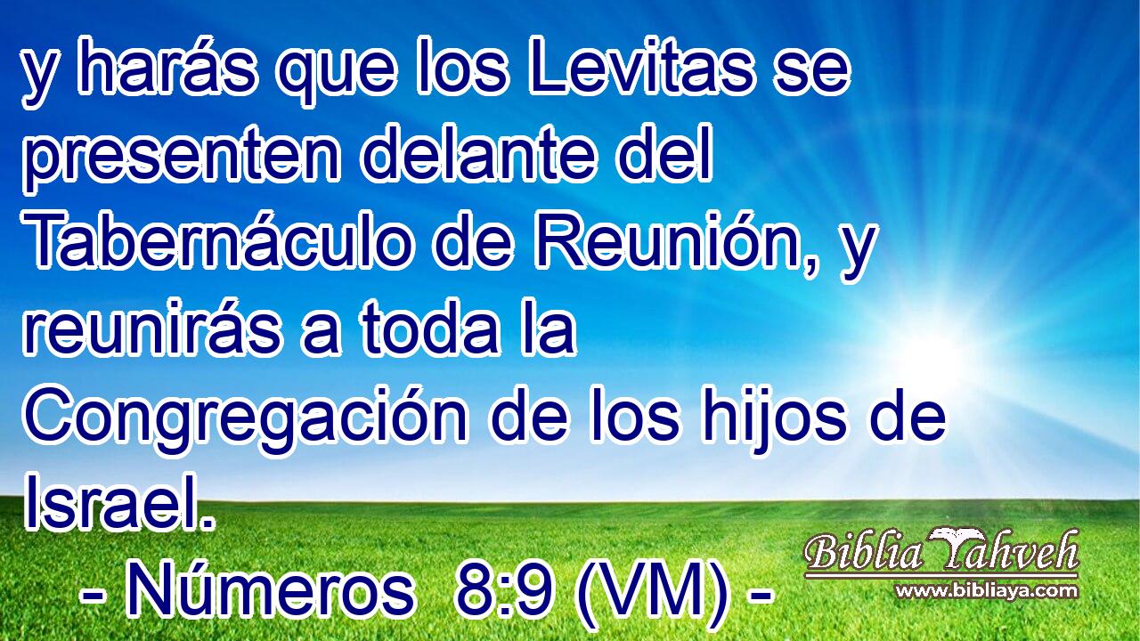  y harás que los Levitas se presenten delante del Tabernáculo de Reunión, y reunirás a toda la Congregación de los hijos de Israel. 