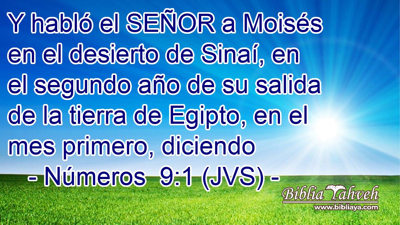Y habló el SEÑOR a Moisés en el desierto de Sinaí, en el segundo año de su salida de la tierra de Egipto, en el mes primero, diciendo