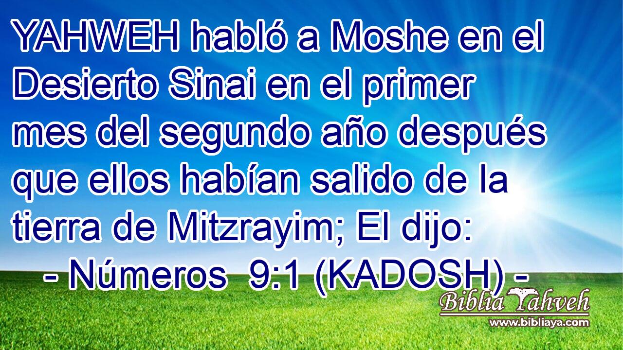  YAHWEH habló a Moshe en el Desierto Sinai en el primer mes del segundo año después que ellos habían salido de la tierra de Mitzrayim; El dijo: 