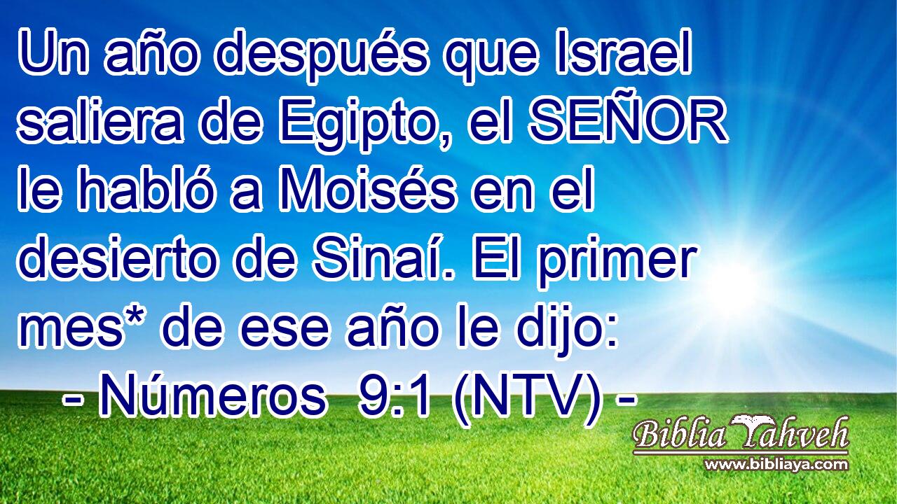 Un año después que Israel saliera de Egipto, el SEÑOR le habló a Moisés en el desierto de Sinaí. El primer mes* de ese año le dijo: