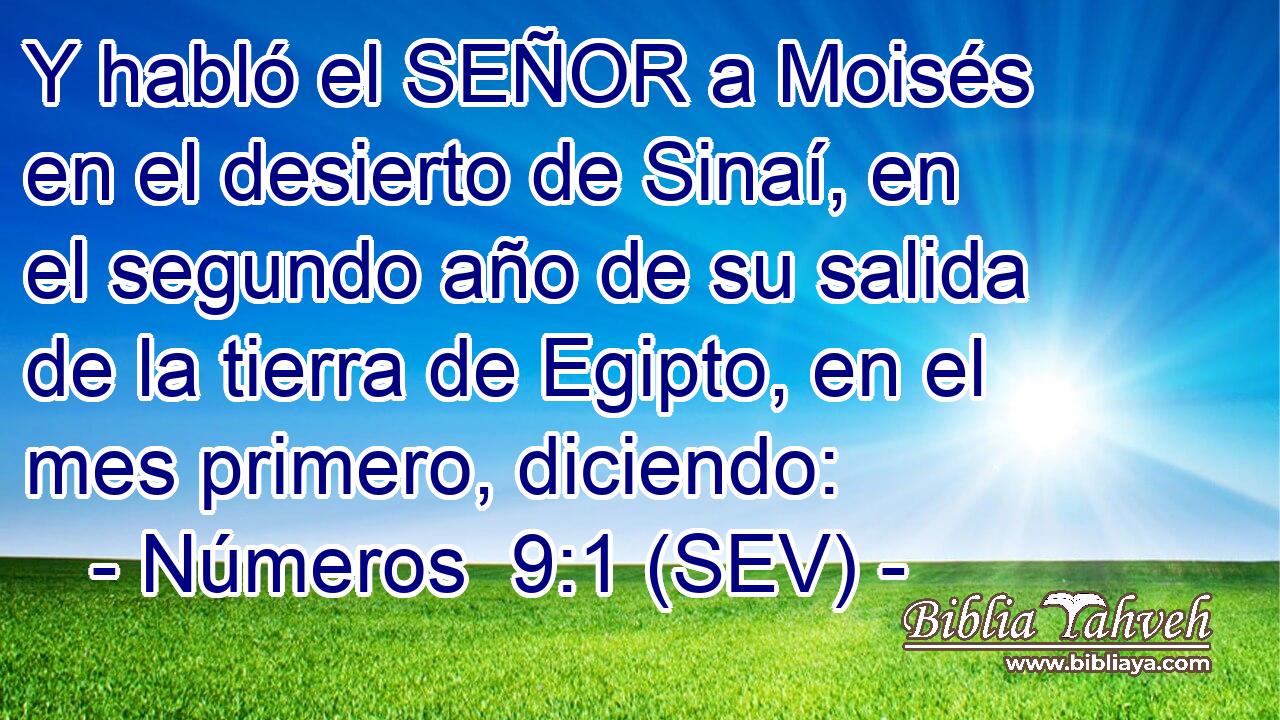 Y habló el SEÑOR a Moisés en el desierto de Sinaí, en el segundo año de su salida de la tierra de Egipto, en el mes primero, diciendo: