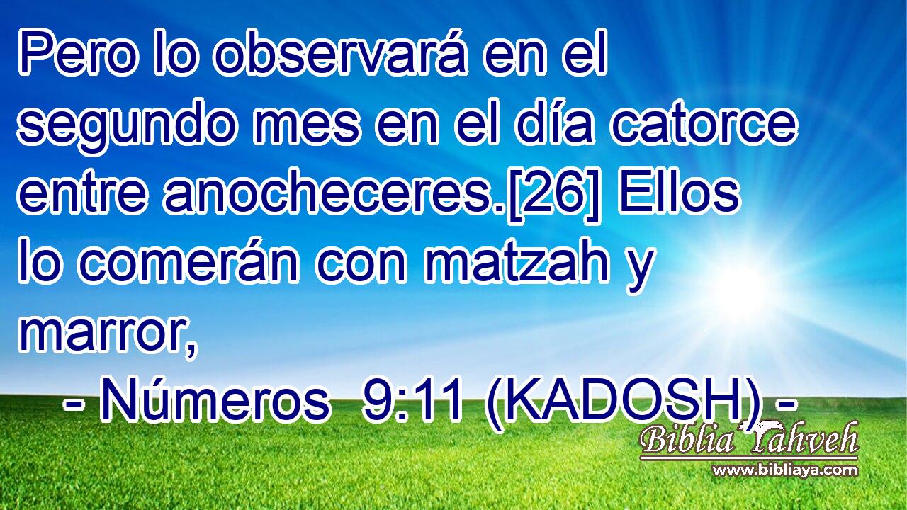  Pero lo observará en el segundo mes en el día catorce entre anocheceres.[26] Ellos lo comerán con matzah y marror, 