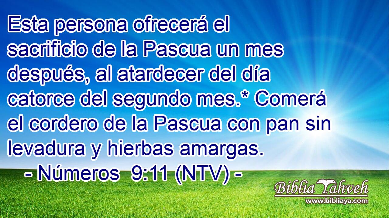 Esta persona ofrecerá el sacrificio de la Pascua un mes después, al atardecer del día catorce del segundo mes.* Comerá el cordero de la Pascua con pan sin levadura y hierbas amargas.