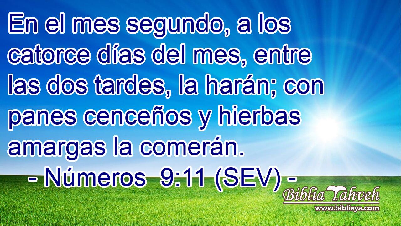 En el mes segundo, a los catorce días del mes, entre las dos tardes, la harán; con panes cenceños y hierbas amargas la comerán.