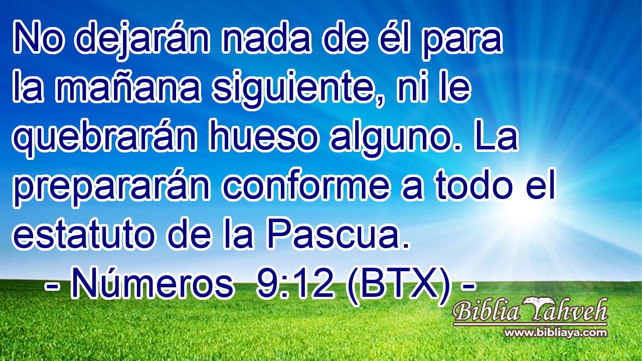 No dejarán nada de él para la mañana siguiente, ni le quebrarán hueso alguno. La prepararán conforme a todo el estatuto de la Pascua.