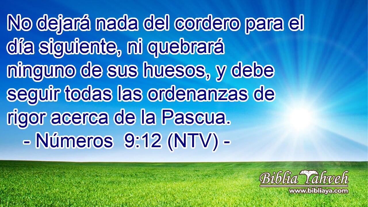 No dejará nada del cordero para el día siguiente, ni quebrará ninguno de sus huesos, y debe seguir todas las ordenanzas de rigor acerca de la Pascua.