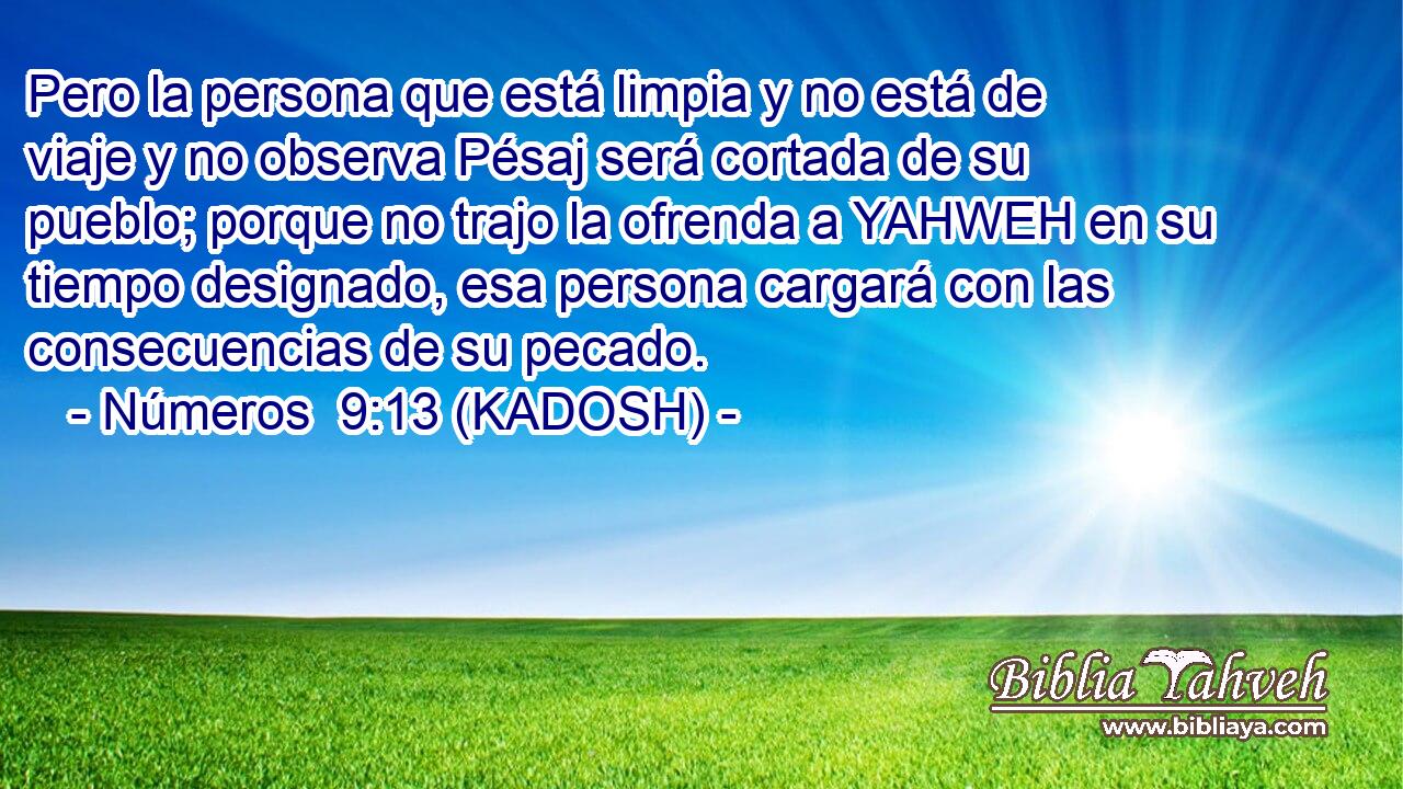  Pero la persona que está limpia y no está de viaje y no observa Pésaj será cortada de su pueblo; porque no trajo la ofrenda a YAHWEH en su tiempo designado, esa persona cargará con las consecuencias de su pecado. 