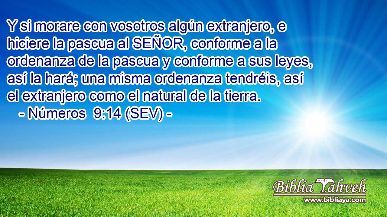 Y si morare con vosotros algún extranjero, e hiciere la pascua al SEÑOR, conforme a la ordenanza de la pascua y conforme a sus leyes, así la hará; una misma ordenanza tendréis, así el extranjero como el natural de la tierra.