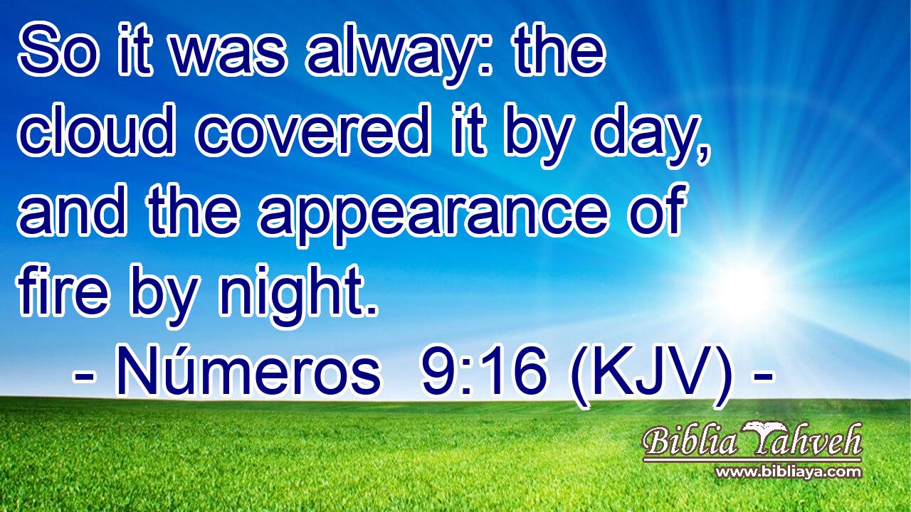 So it was alway: the cloud covered it by day, and the appearance of fire by night.