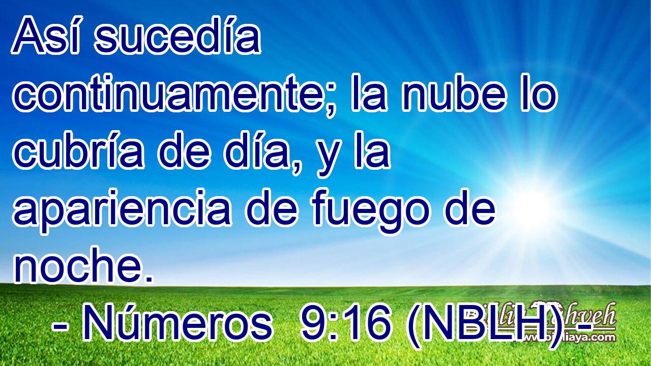  Así sucedía continuamente; la nube lo cubría de día, y la apariencia de fuego de noche. 