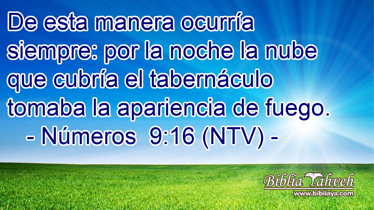 De esta manera ocurría siempre: por la noche la nube que cubría el tabernáculo tomaba la apariencia de fuego.