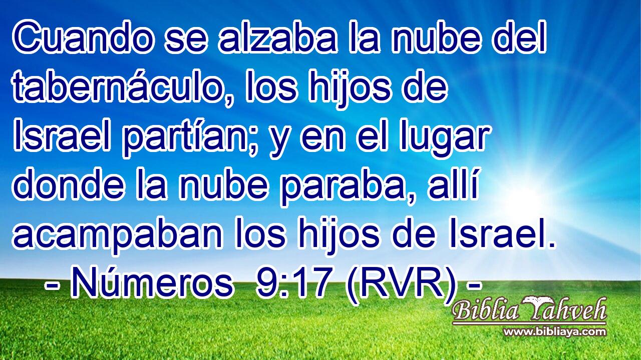 Cuando se alzaba la nube del tabernáculo, los hijos de Israel partían; y en el lugar donde la nube paraba, allí acampaban los hijos de Israel.