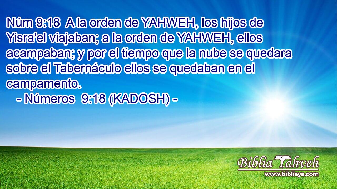  A la orden de YAHWEH, los hijos de Yisra'el viajaban; a la orden de YAHWEH, ellos acampaban; y por el tiempo que la nube se quedara sobre el Tabernáculo ellos se quedaban en el campamento. 