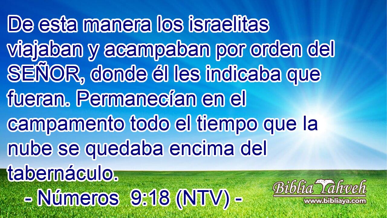 De esta manera los israelitas viajaban y acampaban por orden del SEÑOR, donde él les indicaba que fueran. Permanecían en el campamento todo el tiempo que la nube se quedaba encima del tabernáculo.