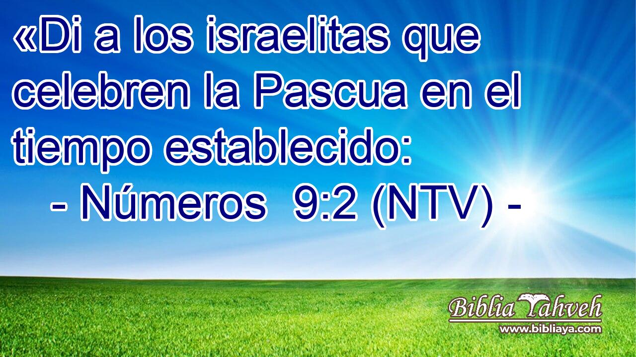 «Di a los israelitas que celebren la Pascua en el tiempo establecido: