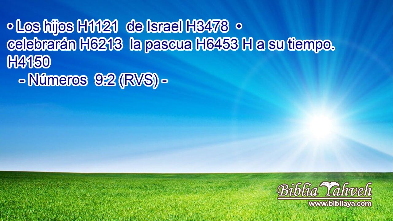 • Los hijos H1121  de Israel H3478  • celebrarán H6213  la pascua H6453 H a su tiempo. H4150  