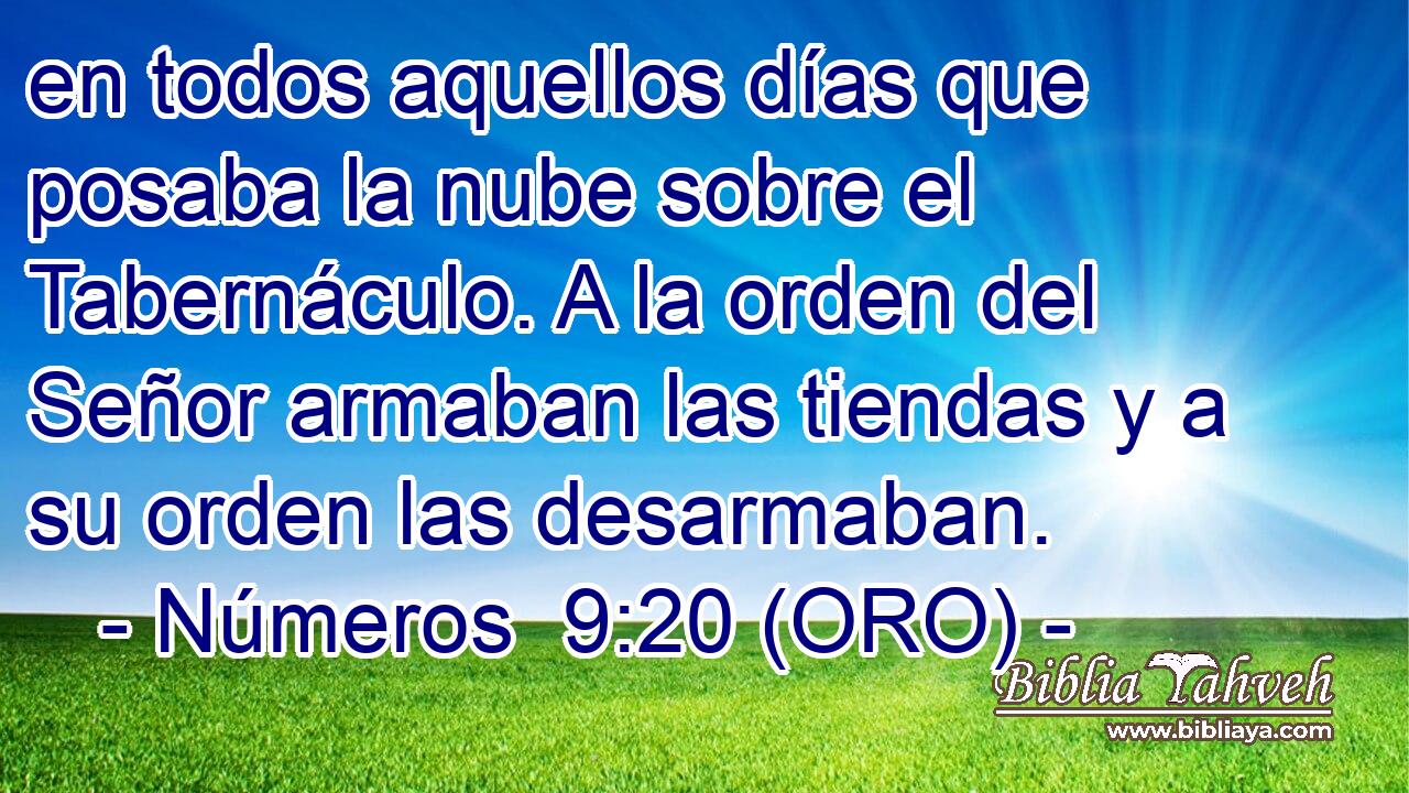  en todos aquellos días que posaba la nube sobre el Tabernáculo. A la orden del Señor armaban las tiendas y a su orden las desarmaban. 