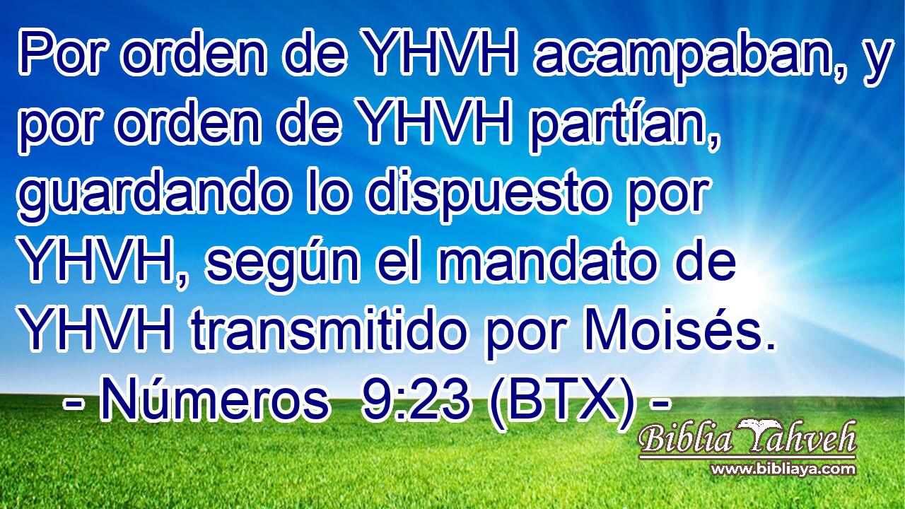 Por orden de YHVH acampaban, y por orden de YHVH partían, guardando lo dispuesto por YHVH, según el mandato de YHVH transmitido por Moisés.