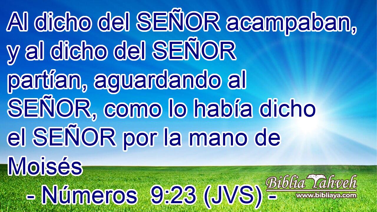 Al dicho del SEÑOR acampaban, y al dicho del SEÑOR partían, aguardando al SEÑOR, como lo había dicho el SEÑOR por la mano de Moisés