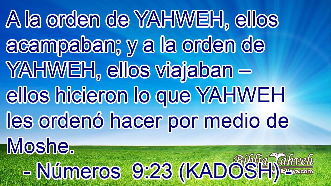  A la orden de YAHWEH, ellos acampaban; y a la orden de YAHWEH, ellos viajaban – ellos hicieron lo que YAHWEH les ordenó hacer por medio de Moshe. 