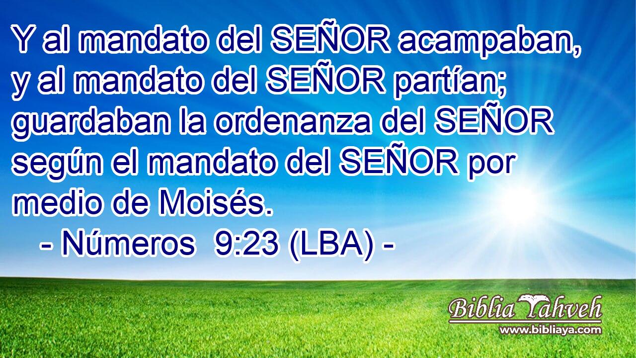 Y al mandato del SEÑOR acampaban, y al mandato del SEÑOR partían; guardaban la ordenanza del SEÑOR según el mandato del SEÑOR por medio de Moisés.
