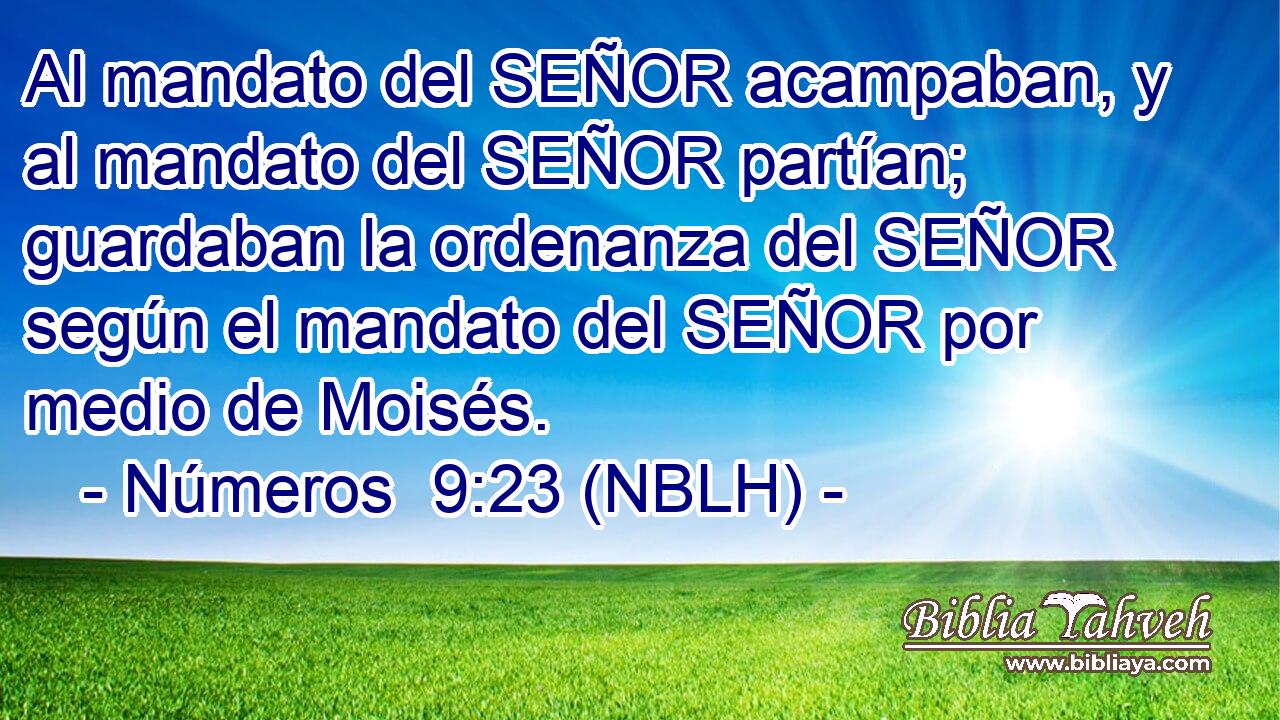  Al mandato del SEÑOR acampaban, y al mandato del SEÑOR partían; guardaban la ordenanza del SEÑOR según el mandato del SEÑOR por medio de Moisés. 