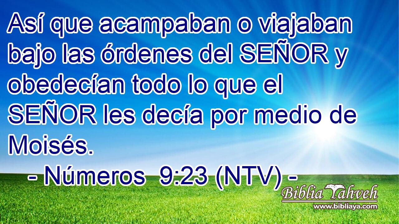 Así que acampaban o viajaban bajo las órdenes del SEÑOR y obedecían todo lo que el SEÑOR les decía por medio de Moisés.