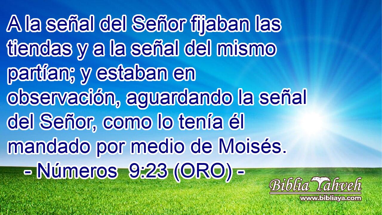  A la señal del Señor fijaban las tiendas y a la señal del mismo partían; y estaban en observación, aguardando la señal del Señor, como lo tenía él mandado por medio de Moisés. 