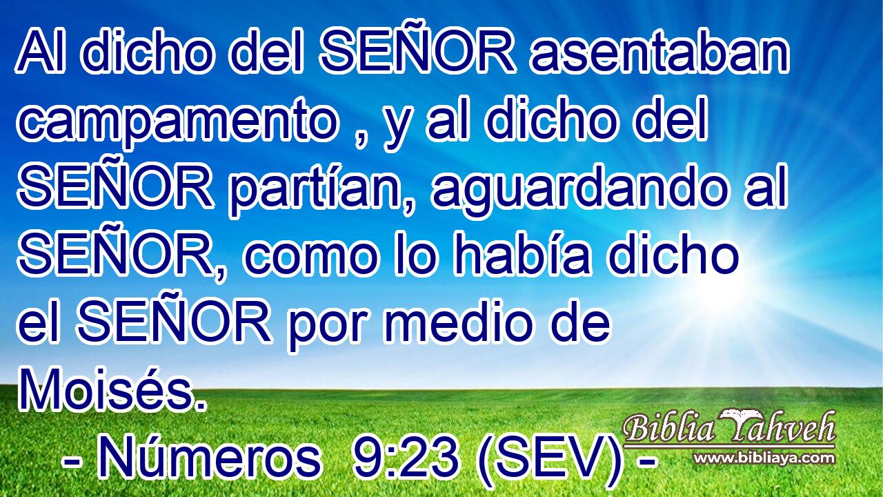 Al dicho del SEÑOR asentaban campamento , y al dicho del SEÑOR partían, aguardando al SEÑOR, como lo había dicho el SEÑOR por medio de Moisés.