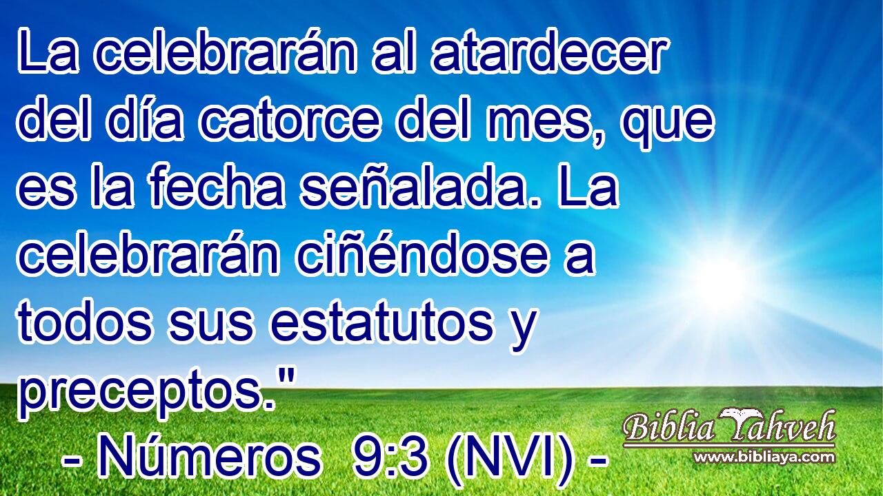  La celebrarán al atardecer del día catorce del mes, que es la fecha señalada. La celebrarán ciñéndose a todos sus estatutos y preceptos.