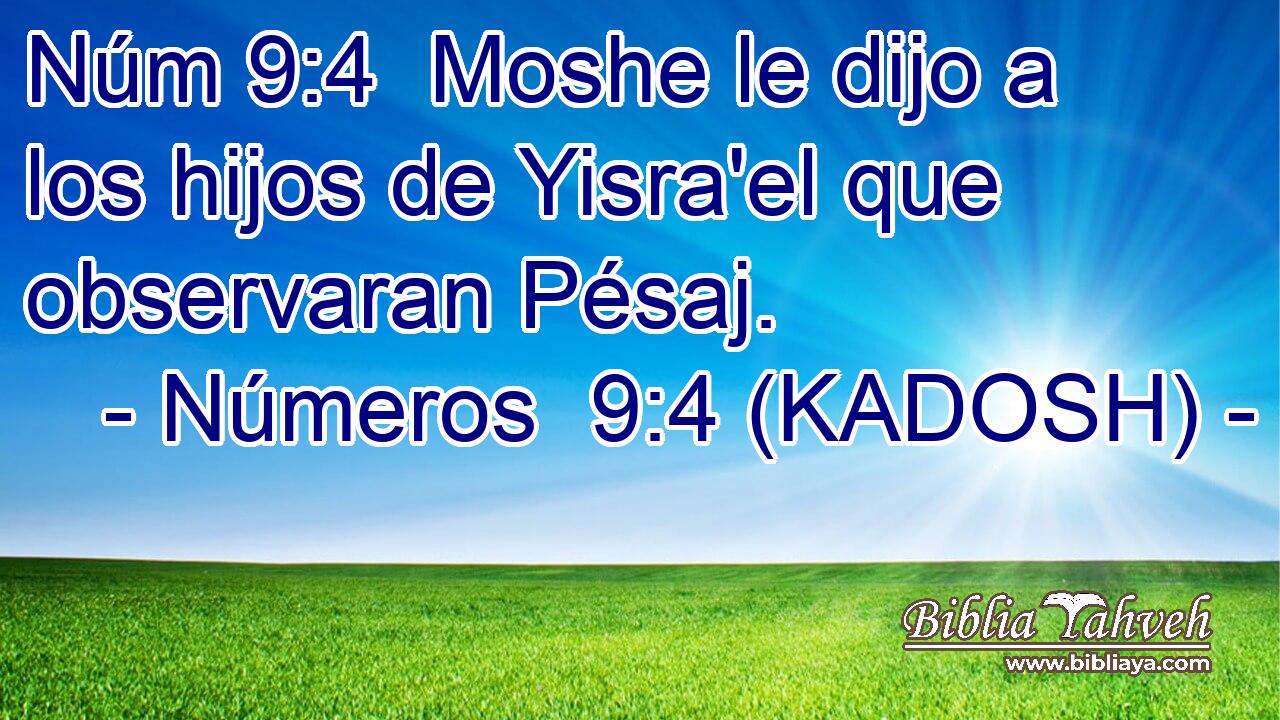  Moshe le dijo a los hijos de Yisra'el que observaran Pésaj. 