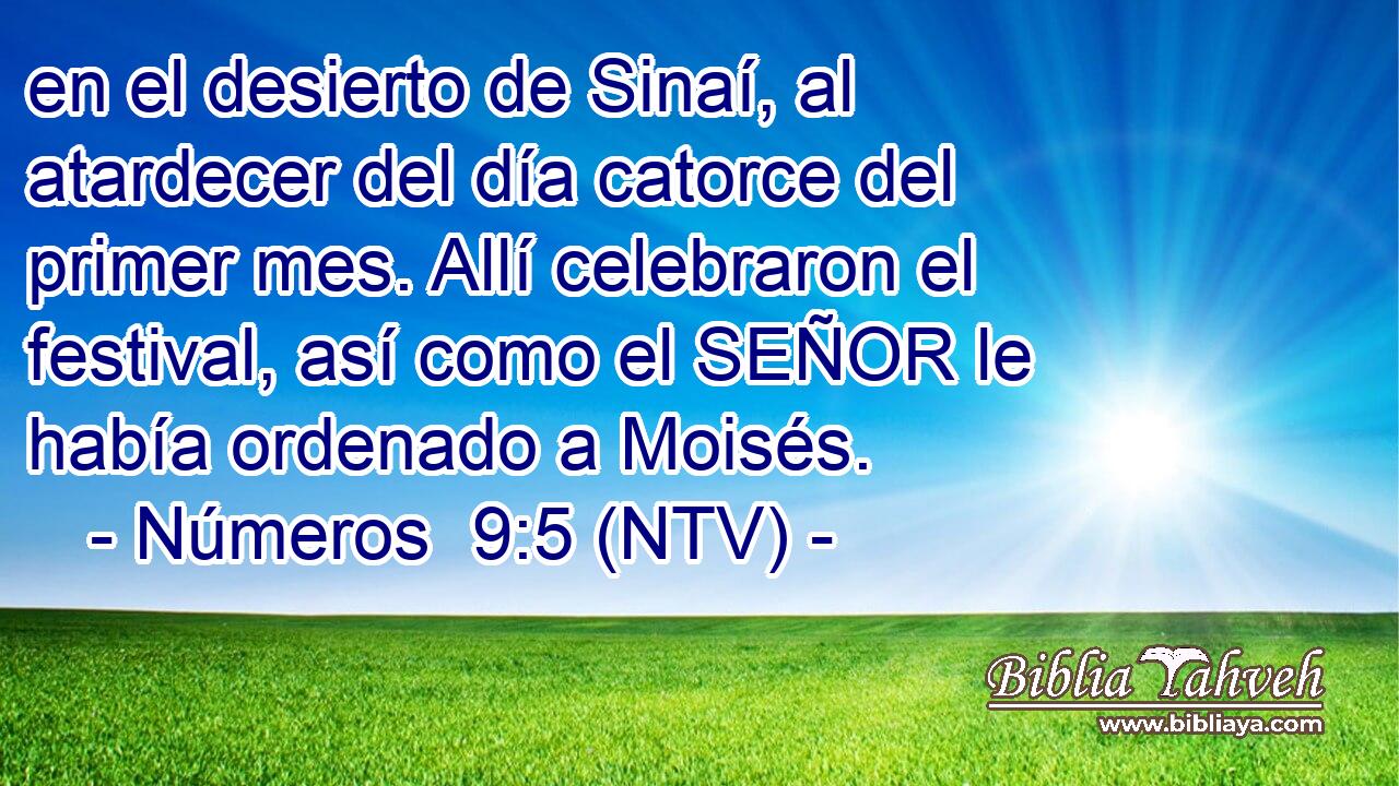 en el desierto de Sinaí, al atardecer del día catorce del primer mes. Allí celebraron el festival, así como el SEÑOR le había ordenado a Moisés.