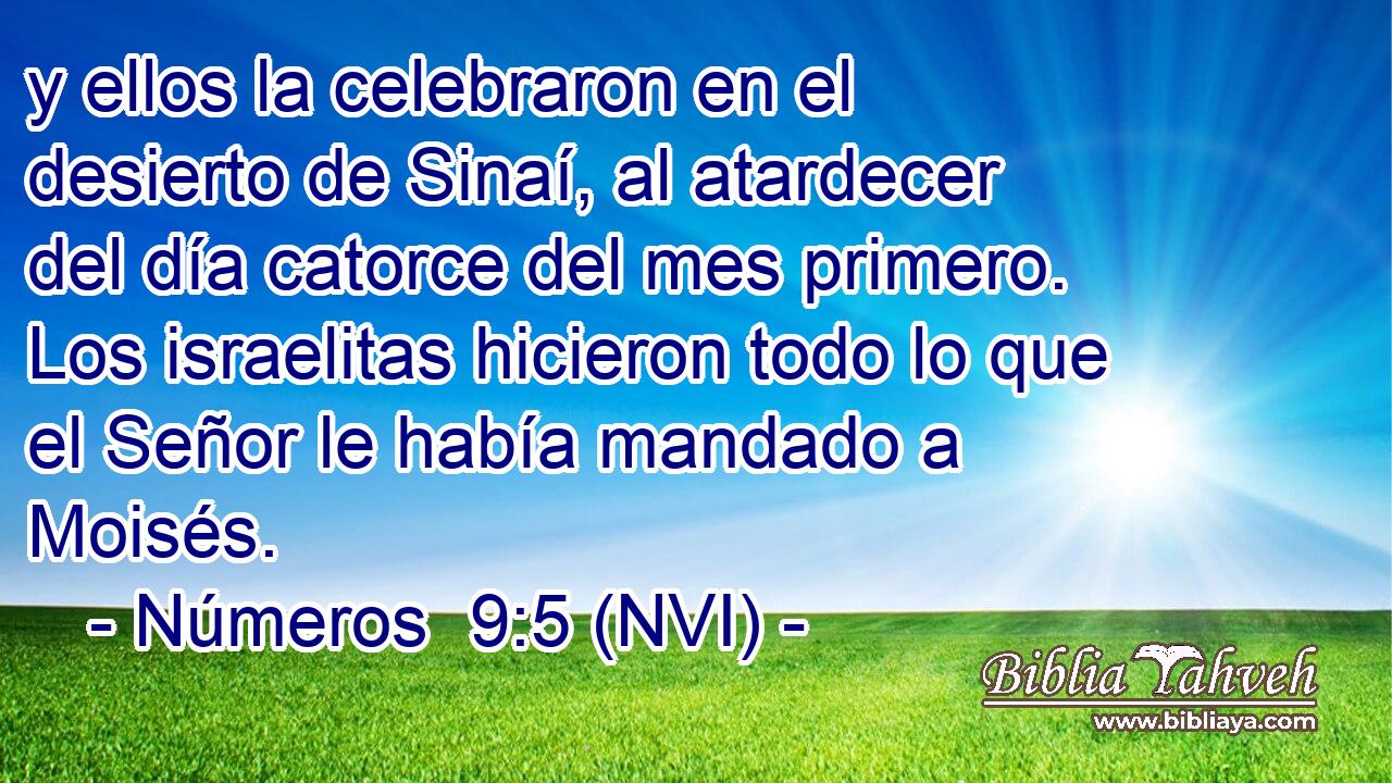  y ellos la celebraron en el desierto de Sinaí, al atardecer del día catorce del mes primero. Los israelitas hicieron todo lo que el Señor le había mandado a Moisés. 