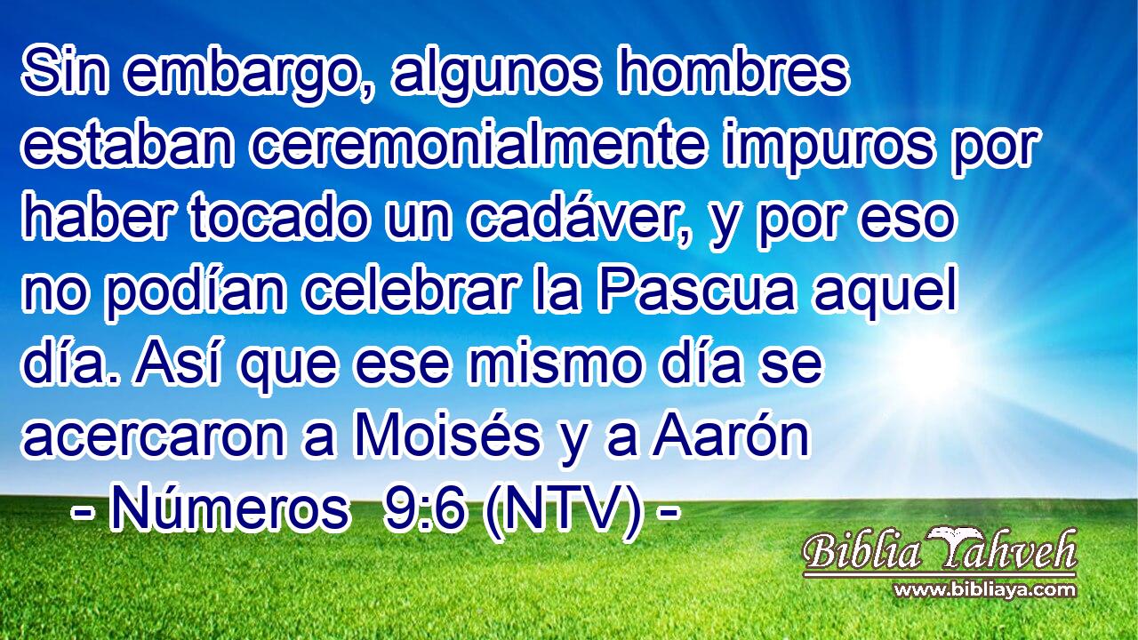 Sin embargo, algunos hombres estaban ceremonialmente impuros por haber tocado un cadáver, y por eso no podían celebrar la Pascua aquel día. Así que ese mismo día se acercaron a Moisés y a Aarón