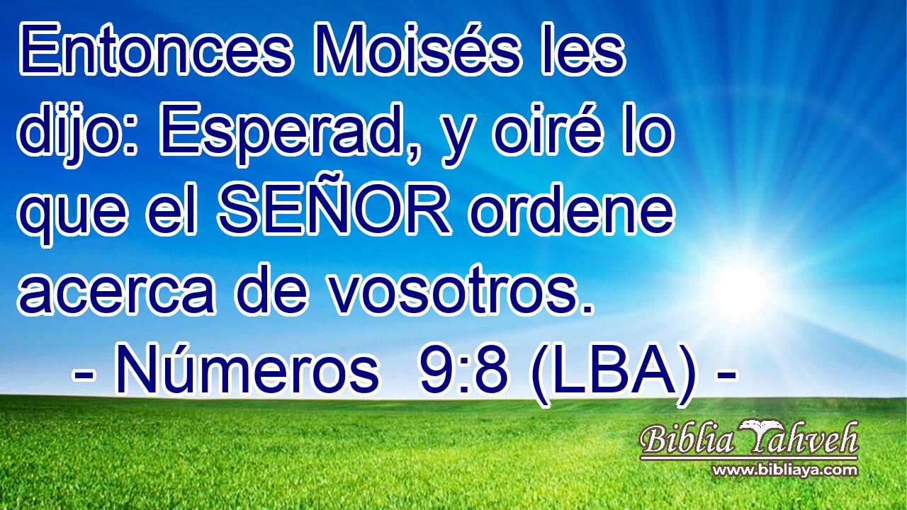 Entonces Moisés les dijo: Esperad, y oiré lo que el SEÑOR ordene acerca de vosotros.