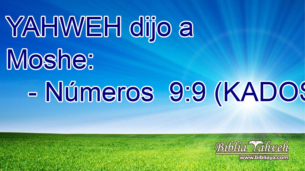  YAHWEH dijo a Moshe: 