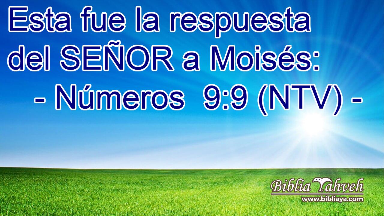 Esta fue la respuesta del SEÑOR a Moisés: