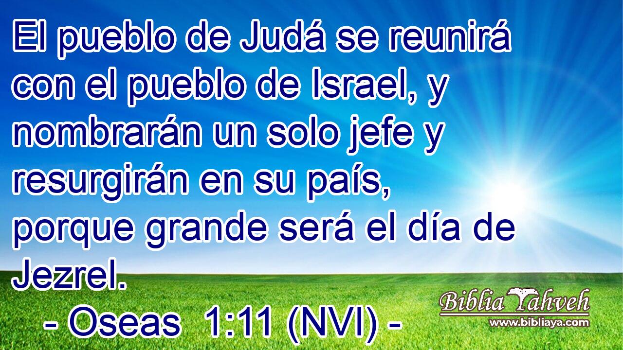  El pueblo de Judá se reunirá con el pueblo de Israel, y nombrarán un solo jefe y resurgirán en su país, porque grande será el día de Jezrel. 