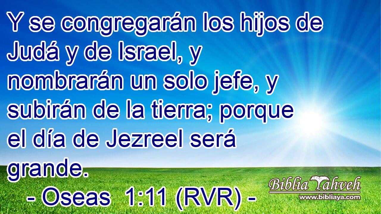 Y se congregarán los hijos de Judá y de Israel, y nombrarán un solo jefe, y subirán de la tierra; porque el día de Jezreel será grande.