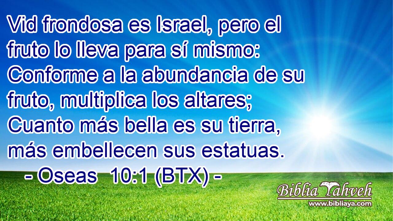 Vid frondosa es Israel, pero el fruto lo lleva para sí mismo: Conforme a la abundancia de su fruto, multiplica los altares; Cuanto más bella es su tierra, más embellecen sus estatuas.