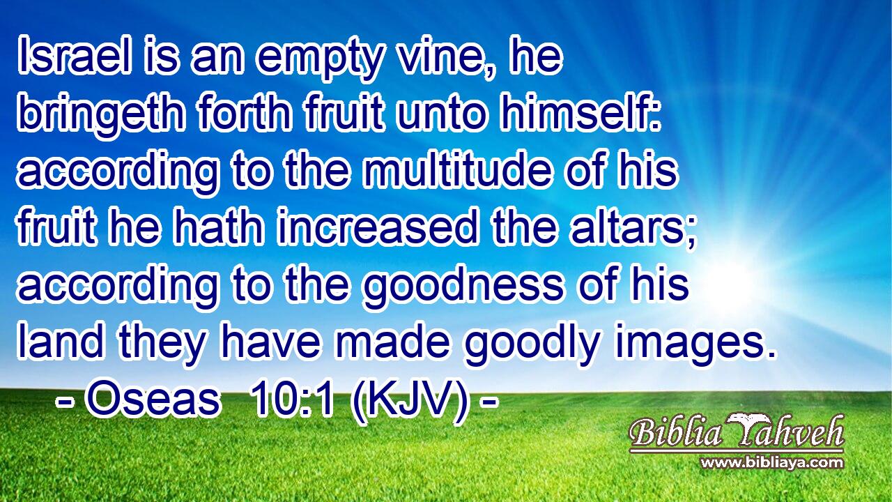 Israel is an empty vine, he bringeth forth fruit unto himself: according to the multitude of his fruit he hath increased the altars; according to the goodness of his land they have made goodly images.