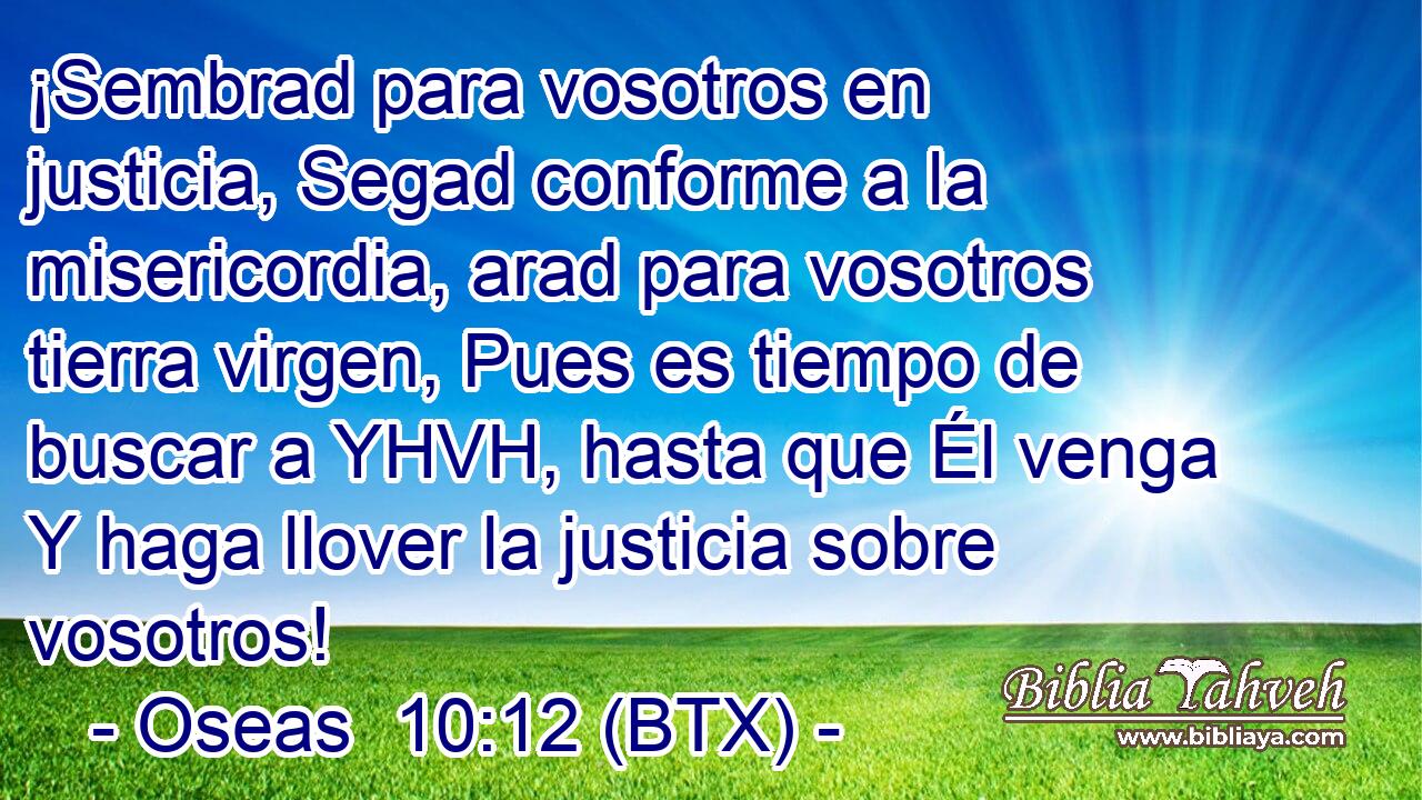 ¡Sembrad para vosotros en justicia, Segad conforme a la misericordia, arad para vosotros tierra virgen, Pues es tiempo de buscar a YHVH, hasta que Él venga Y haga llover la justicia sobre vosotros!
