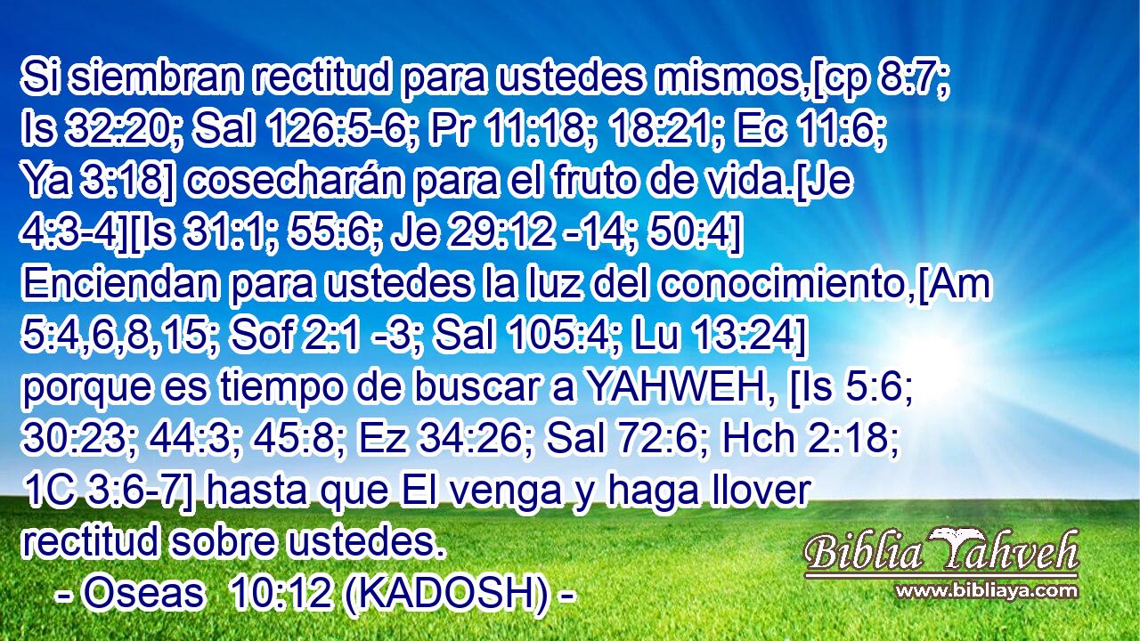  Si siembran rectitud para ustedes mismos,[cp 8:7; Is 32:20; Sal 126:5-6; Pr 11:18; 18:21; Ec 11:6; Ya 3:18] cosecharán para el fruto de vida.[Je 4:3-4][Is 31:1; 55:6; Je 29:12 -14; 50:4] Enciendan para ustedes la luz del conocimiento,[Am 5:4,6,8,15; Sof 2:1 -3; Sal 105:4; Lu 13:24] porque es tiempo de buscar a YAHWEH, [Is 5:6; 30:23; 44:3; 45:8; Ez 34:26; Sal 72:6; Hch 2:18; 1C 3:6-7] hasta que El venga y haga llover rectitud sobre ustedes. 