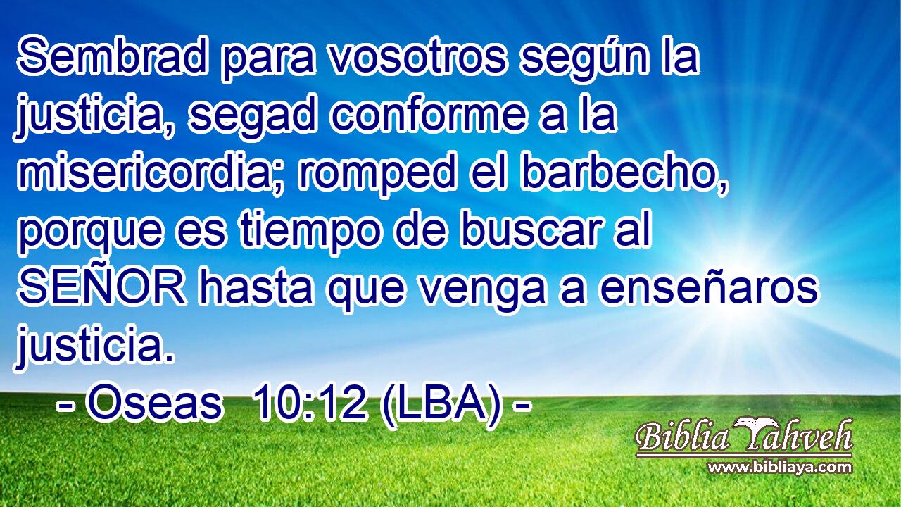 Sembrad para vosotros según la justicia, segad conforme a la misericordia; romped el barbecho, porque es tiempo de buscar al SEÑOR hasta que venga a enseñaros justicia.