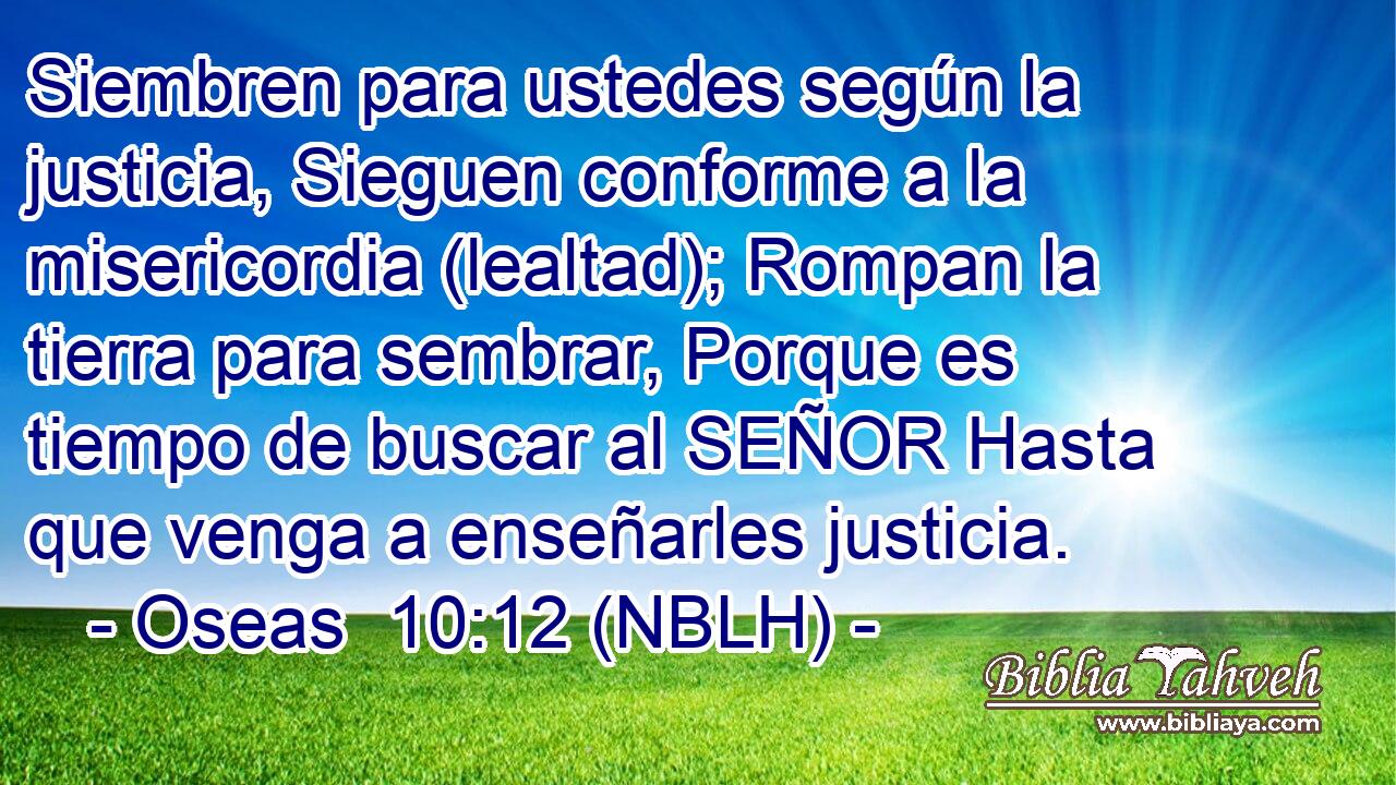  Siembren para ustedes según la justicia, Sieguen conforme a la misericordia (lealtad); Rompan la tierra para sembrar, Porque es tiempo de buscar al SEÑOR Hasta que venga a enseñarles justicia. 