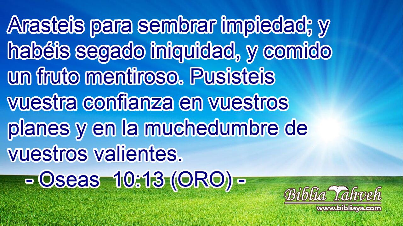  Arasteis para sembrar impiedad; y habéis segado iniquidad, y comido un fruto mentiroso. Pusisteis vuestra confianza en vuestros planes y en la muchedumbre de vuestros valientes. 