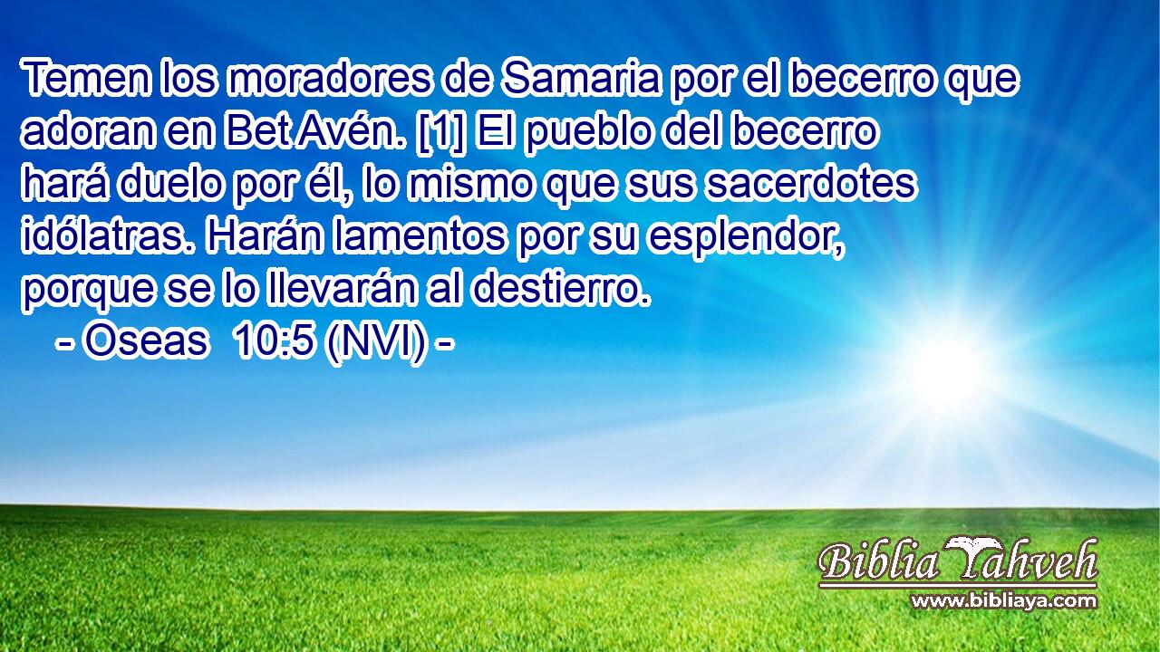  Temen los moradores de Samaria por el becerro que adoran en Bet Avén. [1] El pueblo del becerro hará duelo por él, lo mismo que sus sacerdotes idólatras. Harán lamentos por su esplendor, porque se lo llevarán al destierro. 