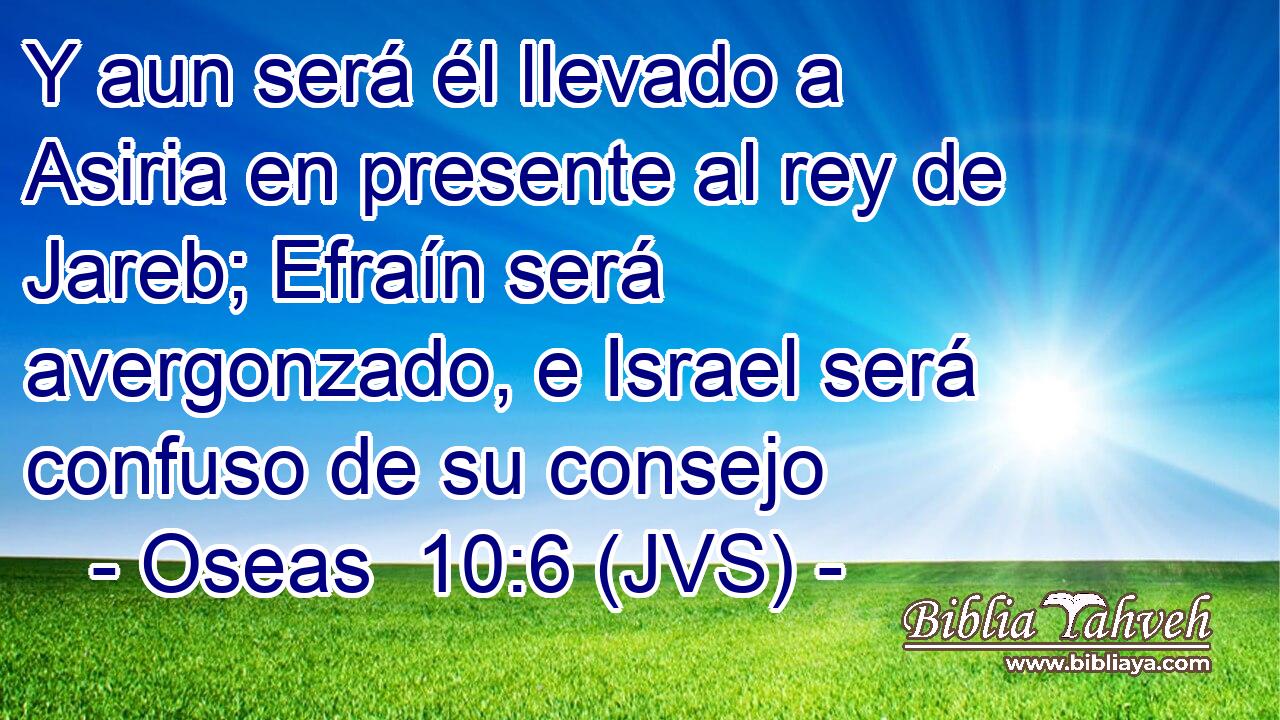 Y aun será él llevado a Asiria en presente al rey de Jareb; Efraín será avergonzado, e Israel será confuso de su consejo