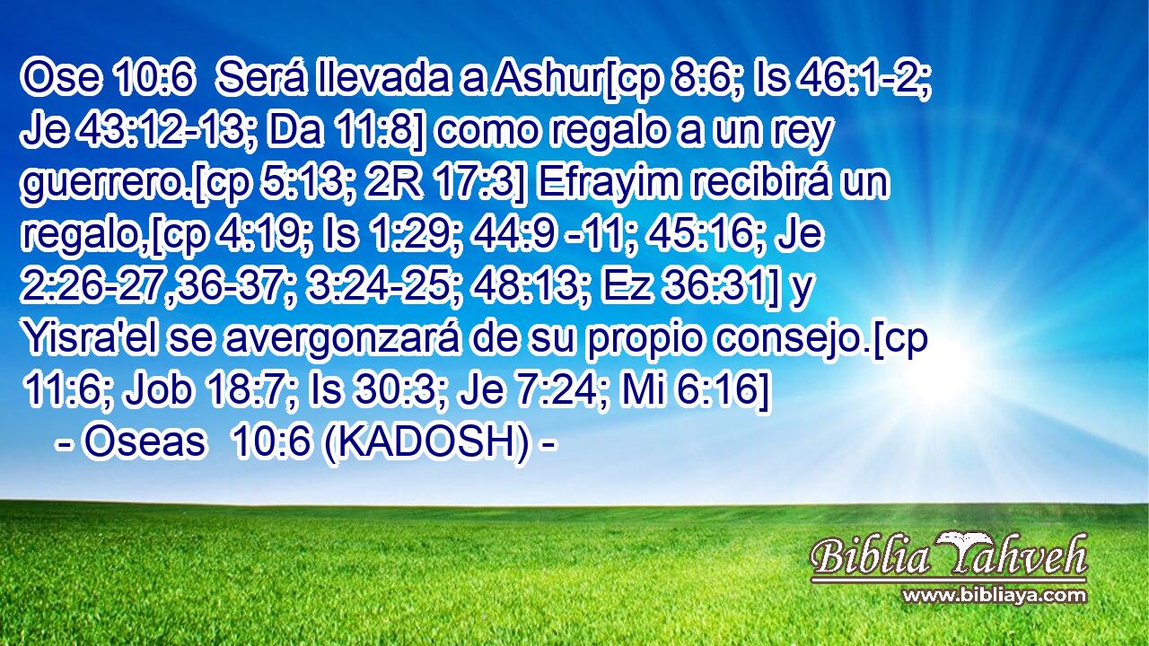  Será llevada a Ashur[cp 8:6; Is 46:1-2; Je 43:12-13; Da 11:8] como regalo a un rey guerrero.[cp 5:13; 2R 17:3] Efrayim recibirá un regalo,[cp 4:19; Is 1:29; 44:9 -11; 45:16; Je 2:26-27,36-37; 3:24-25; 48:13; Ez 36:31] y Yisra'el se avergonzará de su propio consejo.[cp 11:6; Job 18:7; Is 30:3; Je 7:24; Mi 6:16] 
